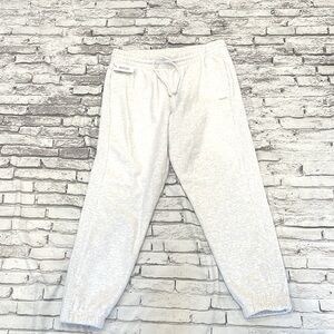 NWT Aritzia TNA cozy boyfriend fleece line sweatpants
